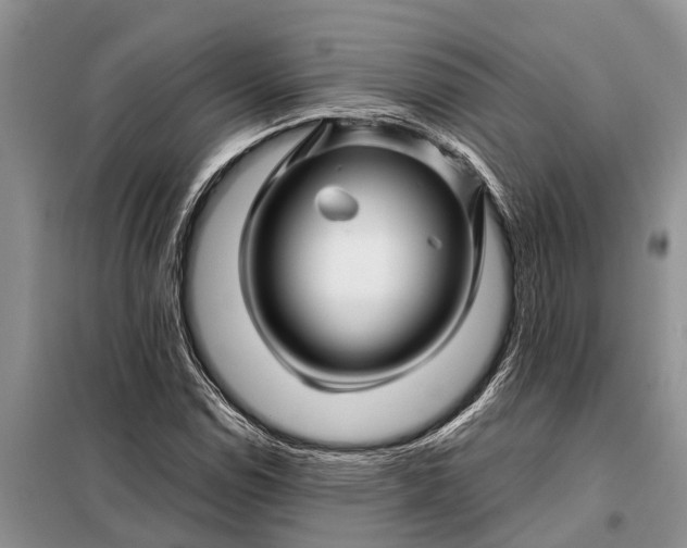 X0000097971114200804071051