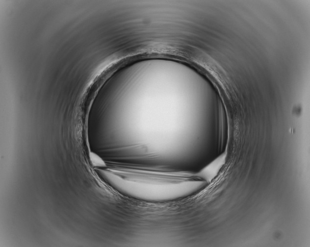 X0000097971115200804071051