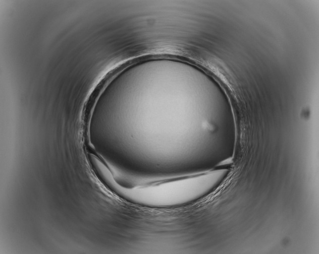 X0000097971116200804071051