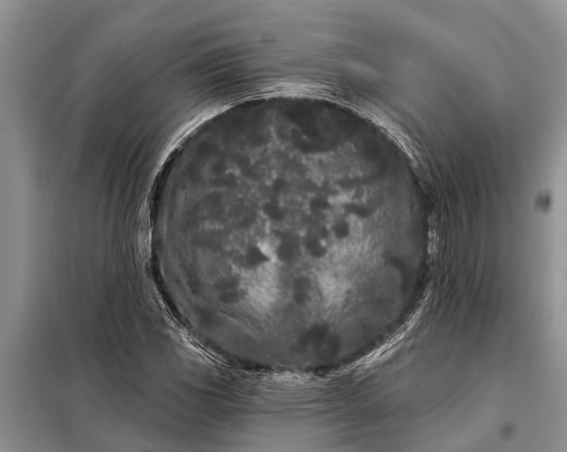 X0000097971117200804071051