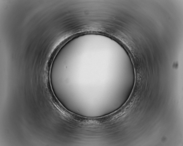 X0000097971119200804071051