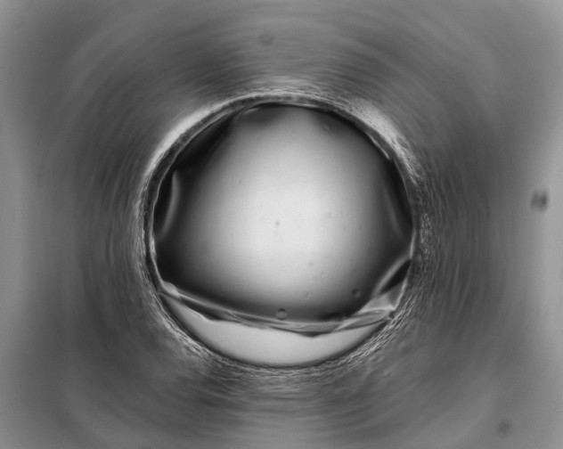 X0000097971120200804071051