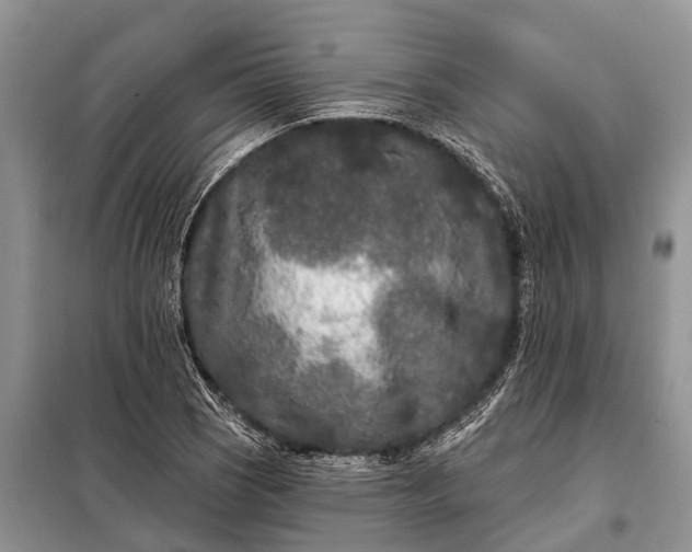 X0000097971121200804071051