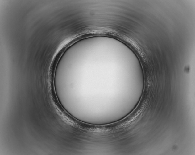 X0000097971122200804071051