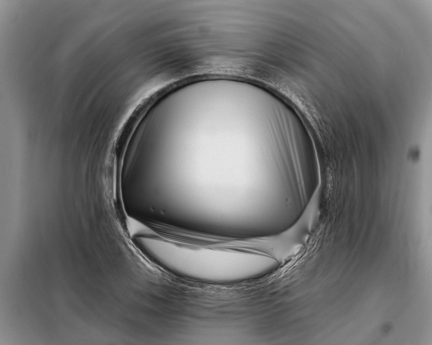 X0000097971123200804071051