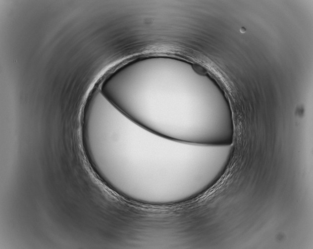 X0000097971124200804071051