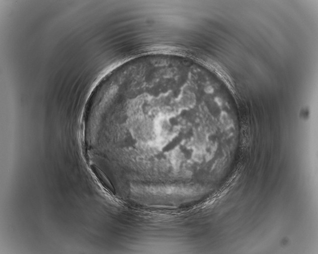 X0000097971125200804071051