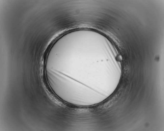 X0000097971126200804071051