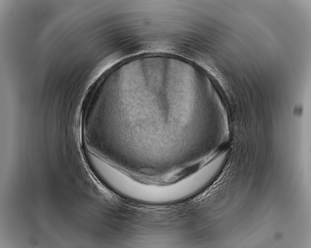 X0000097971127200804071051