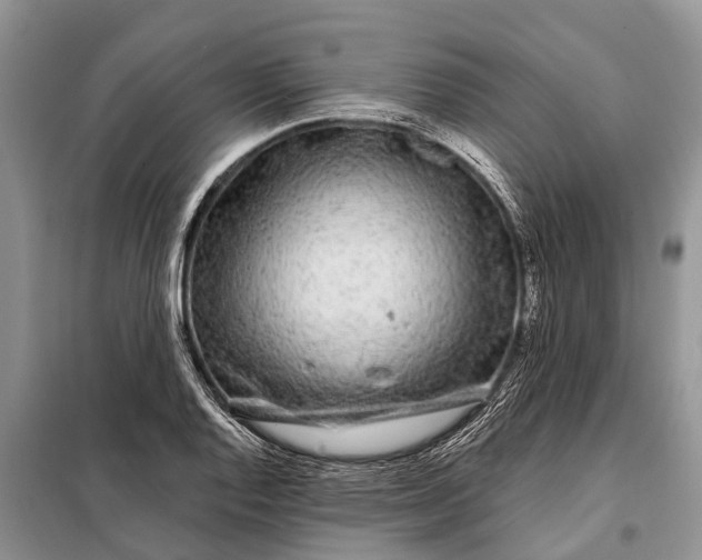 X0000097971128200804071051