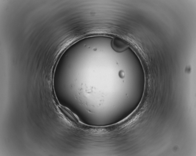 X0000097971129200804071051