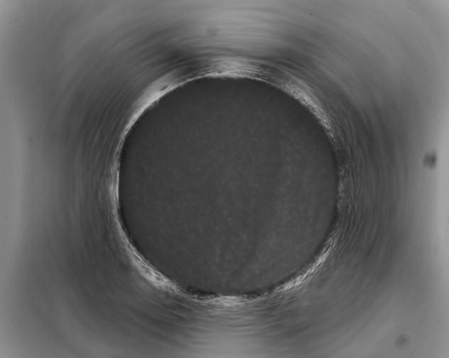 X0000097971130200804071051