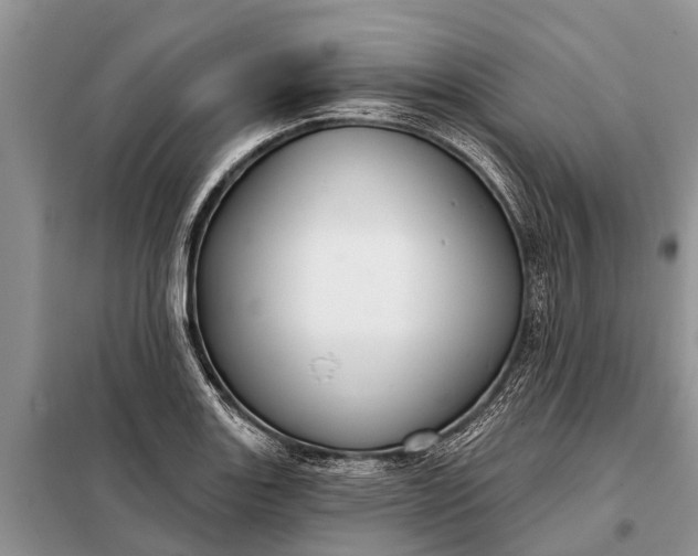 X0000097971131200804071051