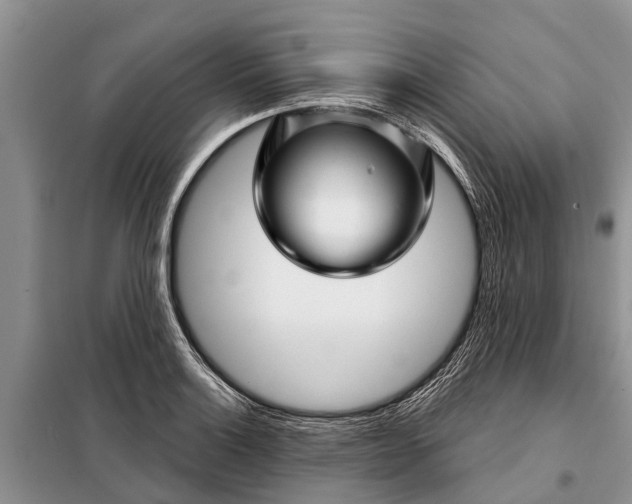 X0000097971132200804071051