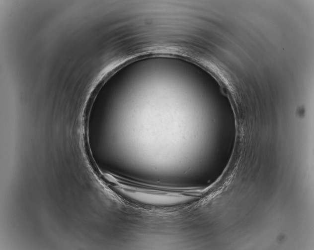 X0000097971133200804071051