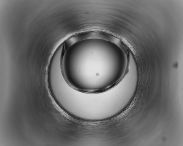 X0000097971134200804071051