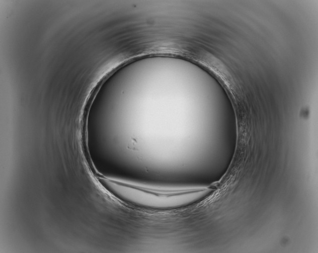 X0000097971135200804071051