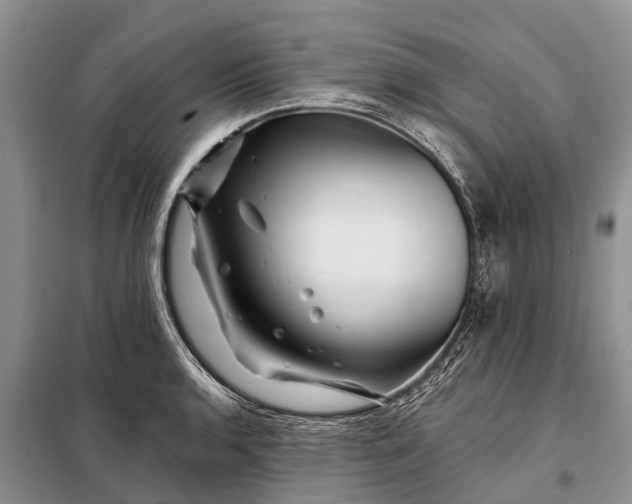 X0000097971136200804071051