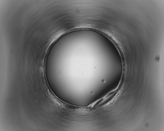 X0000097971137200804071051