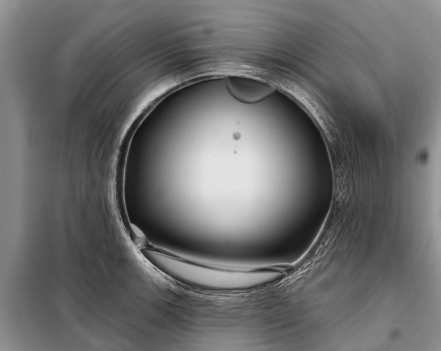 X0000097971139200804071051