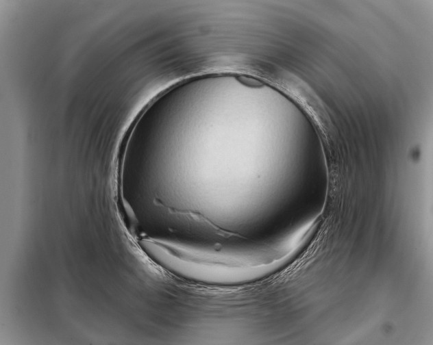 X0000097971140200804071051