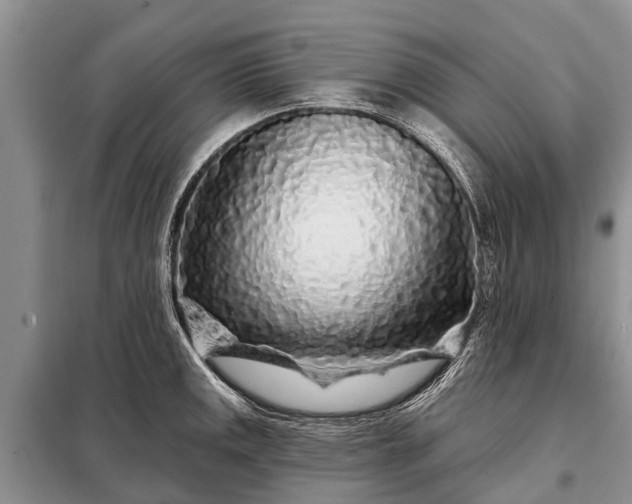 X0000097971141200804071051