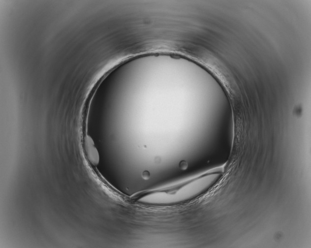 X0000097971142200804071051