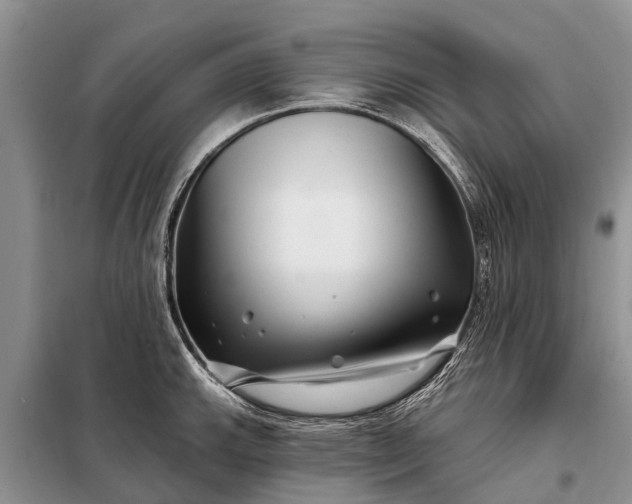 X0000097971143200804071051