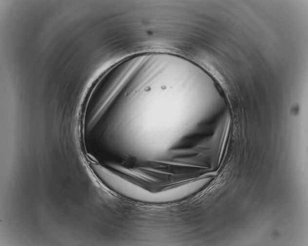 X0000097971144200804071051