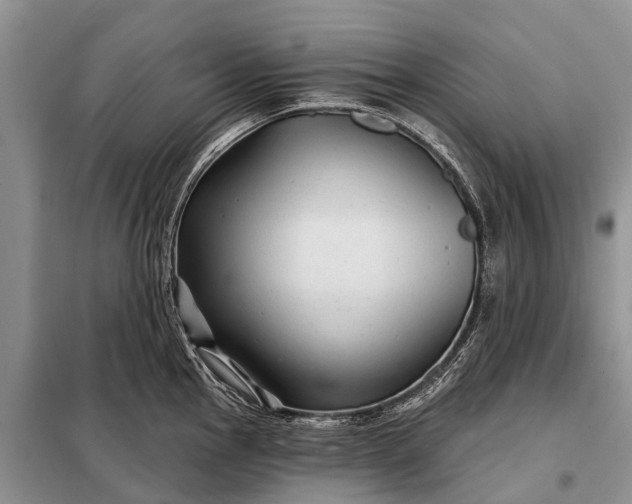 X0000097971145200804071051