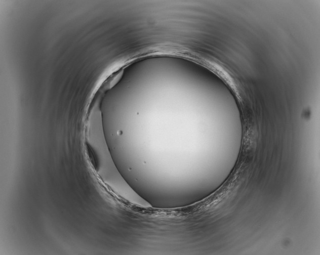 X0000097971146200804071051