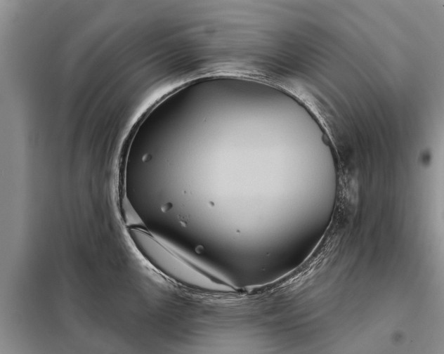 X0000097971147200804071051