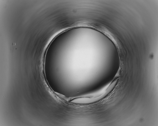 X0000097971148200804071051