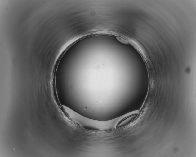 X0000097971149200804071051