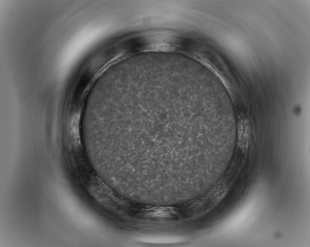 X0000097971150200804071051