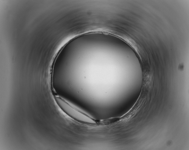 X0000097971151200804071051