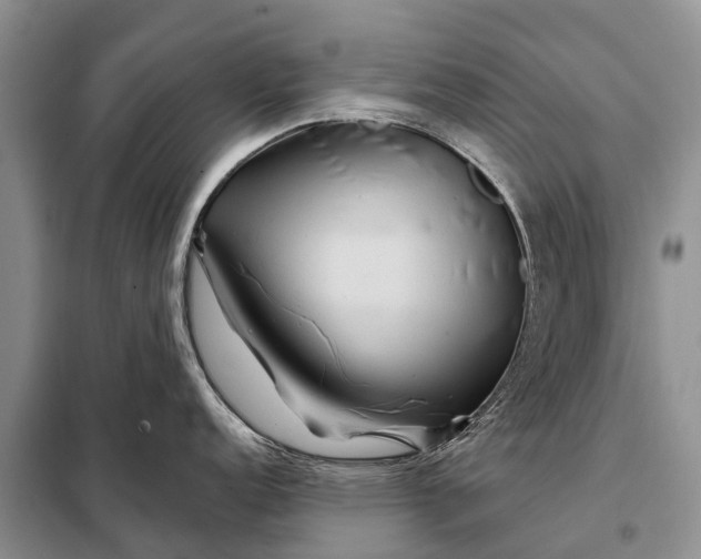 X0000097971152200804071051