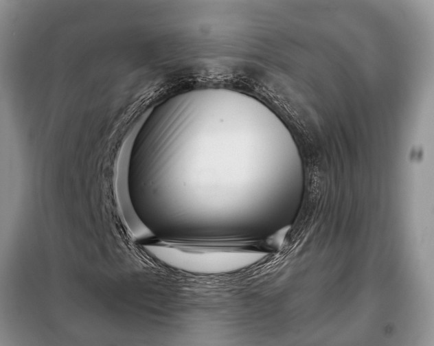 X0000097971153200804071050