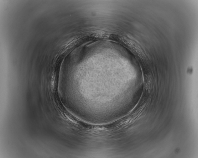 X0000097971154200804071050