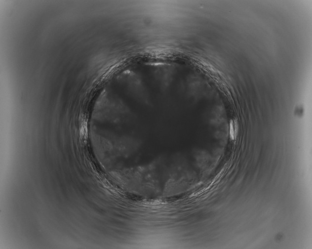 X0000097971155200804071050