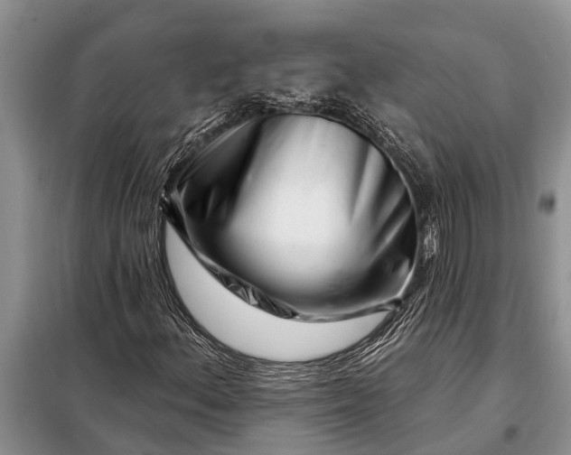 X0000097971156200804071050