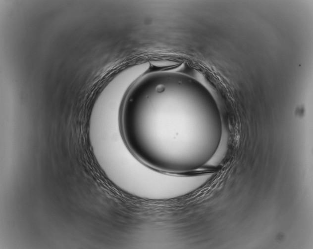 X0000097971157200804071050