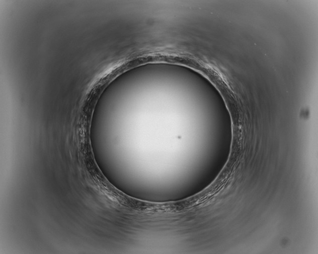 X0000097971159200804071050