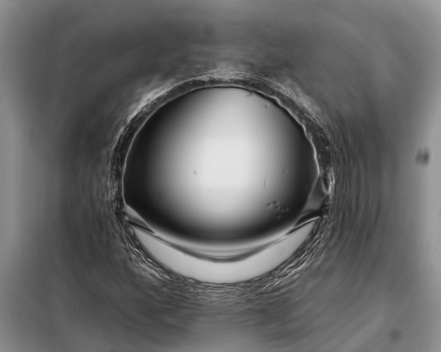 X0000097971160200804071050