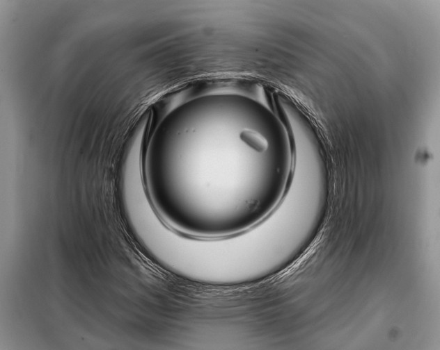 X0000097971161200804071050