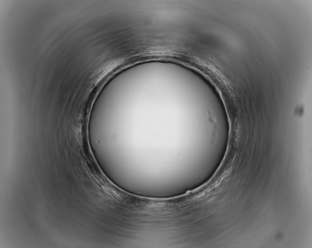 X0000097971162200804071050