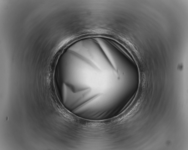 X0000097971163200804071050