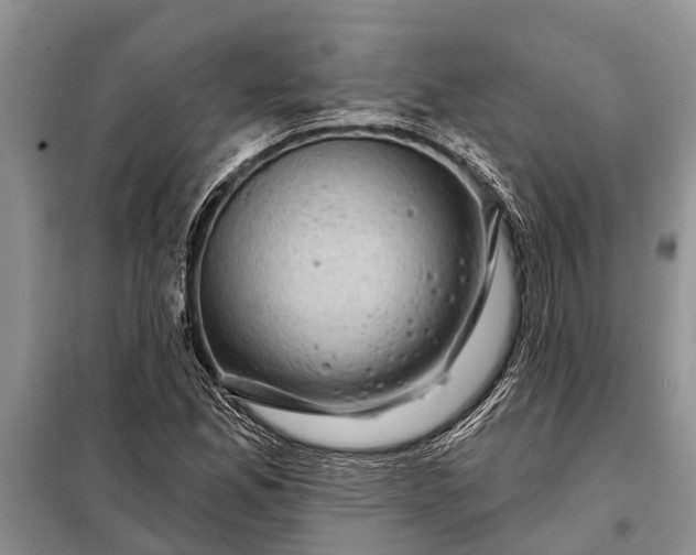 X0000097971165200804071050