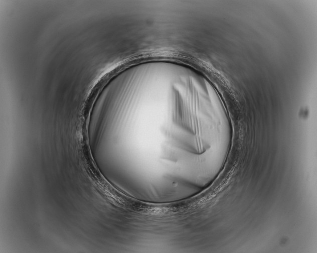 X0000097971166200804071050