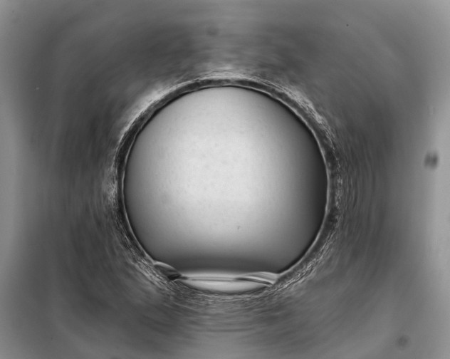 X0000097971167200804071050